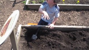 More worm digging