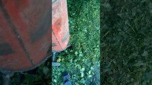 Самодельная ботва резка