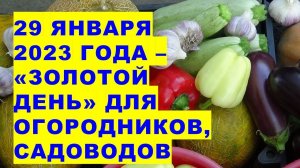 29 января 2023 года - "золотой день" для огородников и садоводов. В добрый час посевной сезон!