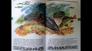 ОКРУЖАЮЩИЙ МИР /Аудиокнига ВЕЛИКАН НА ПОЛЯНЕ /А.А.Плешаков /ЗАЧЕМ НУЖНЫ В РЕКЕ РАКУШКИ