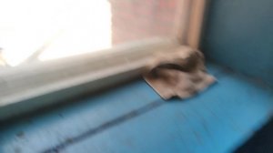 Лифт КМЗ 1994 года Саранск Улица Косарева 70А