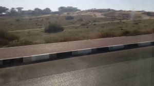 Едем на автобусе до Персидского залива от отеля RAS AL KHAIMAH HOTEL 4*( Рас - Эль - Хайм ) ОАЭ