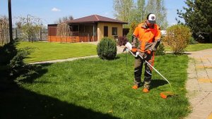 Електромотокоса STIHL FSE 81