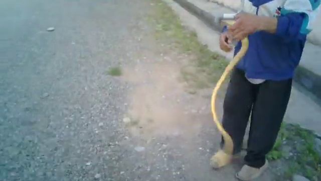 Укус змеи смотреть онлайн