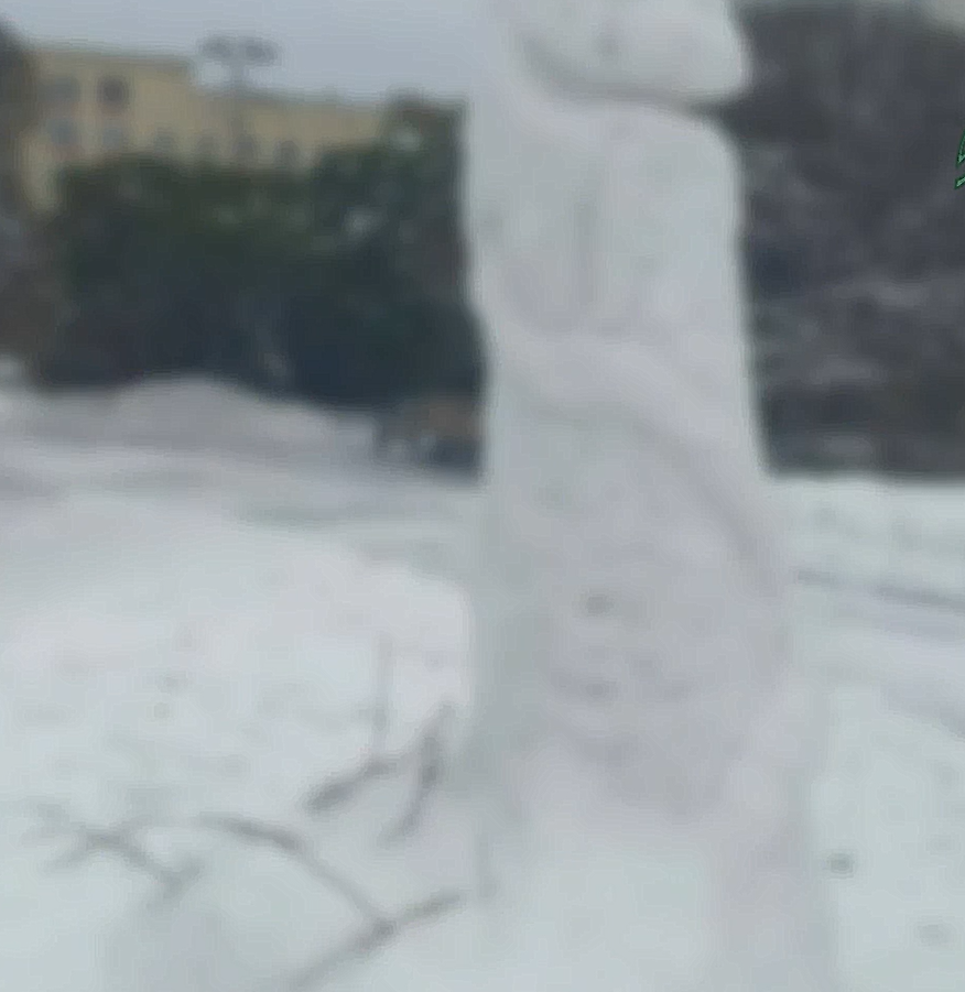 Гигантские члены вылепленные из снега заполнили Екатеринбург - Здравствуй зимушка-зима!