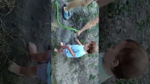 Дети - цветы жизни.  Цветы нужно поливать.