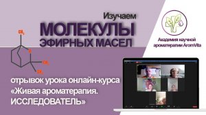 Эфирные молекулы. Отрывок из урока курса "Живая ароматерапия. Исследователь 3.0"