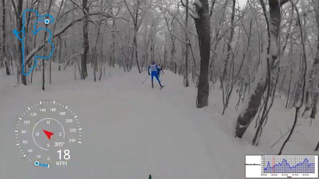 Новогодняя контрольная тренировка ?