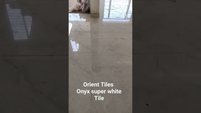 Orient tiles onyx super white inside home