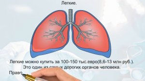 донорские органы сколько стоит человек