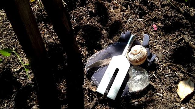 #asonnetaday 2020 ~ Sonnet 85 by William Shakespeare смотреть онлайн