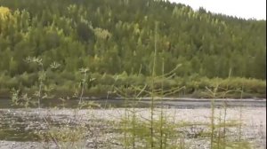 Природа Якутии 1