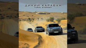 навая песня   ((( ДИКИЙ  КАРАВАН  ))))😎😎