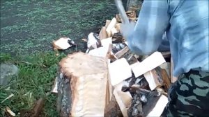 Как расколоть огромную тюльку, чурку - комель. Колка дров