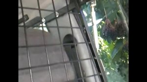 Решетка для багажника УАЗ Патриот