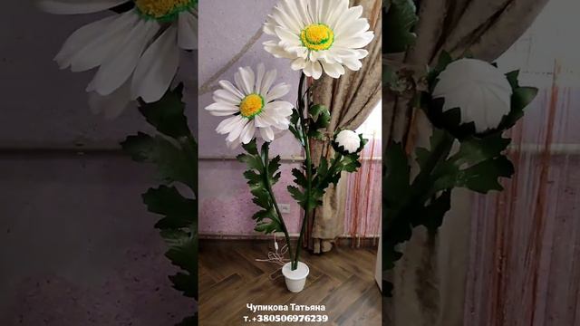 Ромашки из изолона