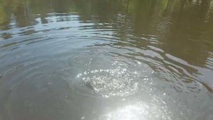 На Cool Place Floating Stretch с подсадкой пасты