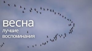 Весна 2024. Лучшие воспоминания