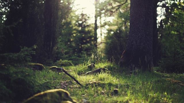 Healing music (with bell every 2 minutes) смотреть онлайн