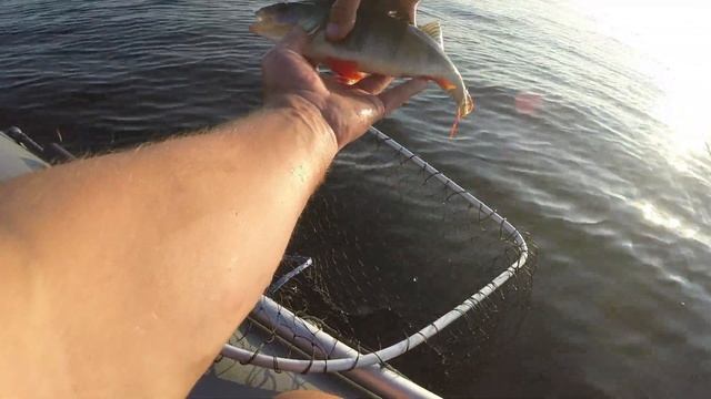 Рыбалка в выходные. Волга, Горьковское водохранилище. Рыбачил два дня, вернее два утра. Ловил окуня смотреть онлайн