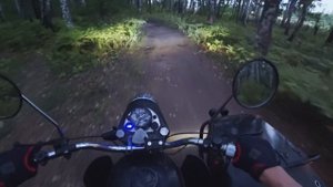 НЕПОНЯТНОЕ СУЩЕСТВО ВСТРЕТИЛ В ЛЕСУ