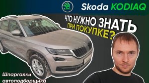 Как проверить Skoda Kodiak // Что нужно знать