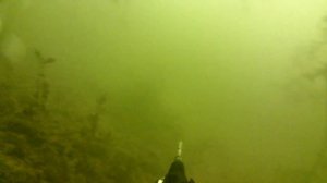 Подводная охота На любимой РЕКЕ Тест нового ружья САЛЬВИМАР ПРЕДАТОР