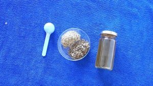Противовирусный  препарат из полыни  и  чистотела.