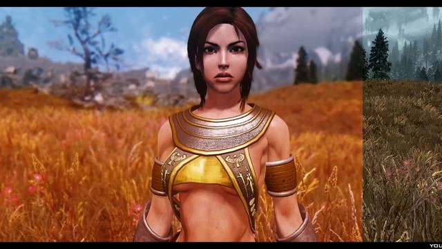 TES V - Skyrim Mods: Megatherium ENB v272 смотреть онлайн