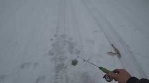 Клюет ОГРОМНЫЙ Хариус 1кг+!!!Крутая рыбалка! 2День(Тайга Лесные Речки)