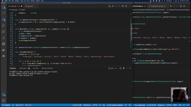 11 Golang for C# Developers - Web Api using Gorilla MUX смотреть онлайн