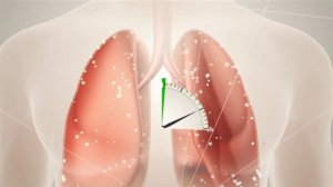 Хризотиловый асбест – что это и вреден ли для здоровья?