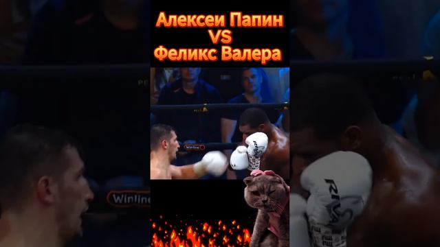 Алексей Папин VS Феликс Валера.Бокс.Нокаут