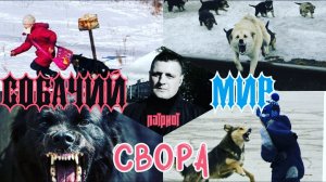 Свора. Собачий мир