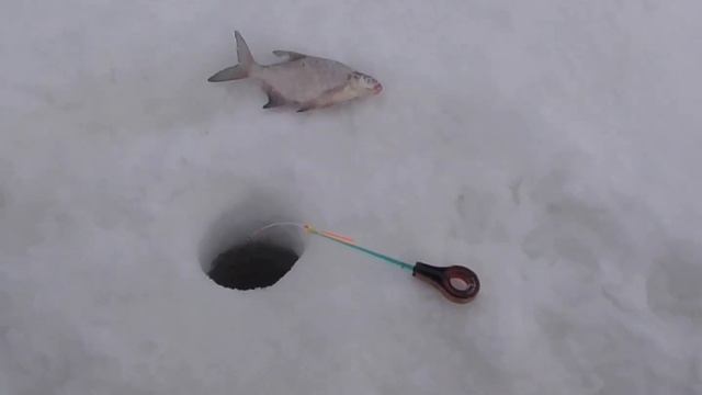 Ловля подлещика и плотвы в глухозимье. смотреть онлайн