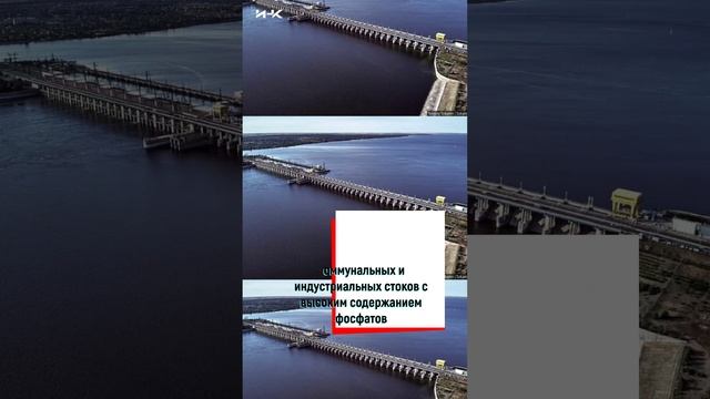 Мониторинг водохранилищ Волги, наука, Волгоград, ученые, наука в России, Волгоградская, #shorts