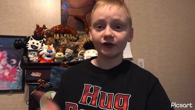 American Ringtail -Cat Breed Profiles- смотреть онлайн