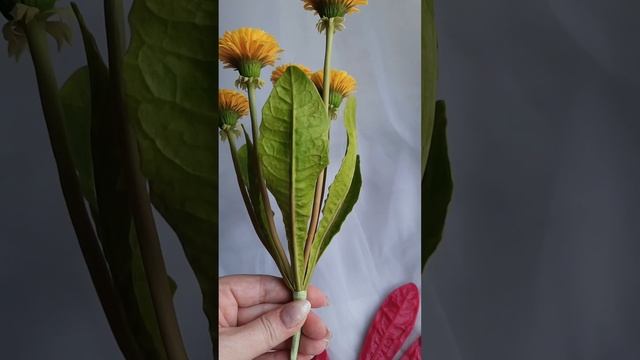 Солнечные одуванчики из холодного фарфора ? смотреть онлайн