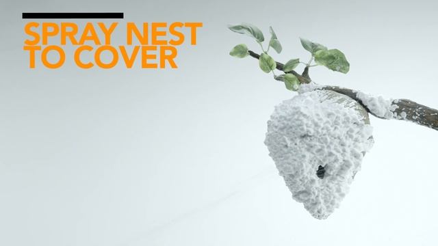 How to Use Raid Max® Foaming Wasp & Hornet Killer смотреть онлайн