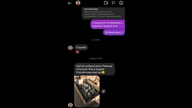 Оправка почтой саженцев лаванды из органического Лавандового питомника смотреть онлайн