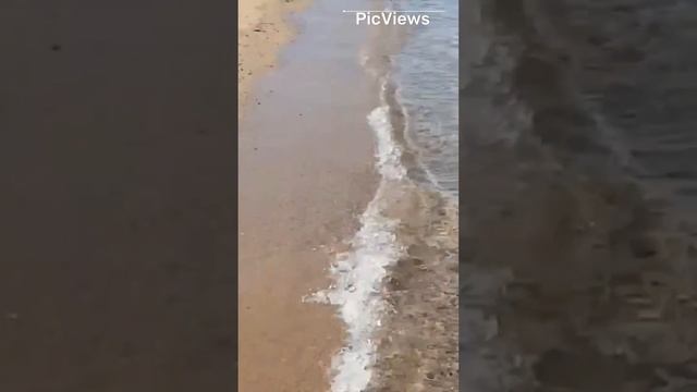 Египет. Сафага. Lotus Bay. Обстановка на пляже море и погода сегодня 19 декабря 2023. Курорт зимой