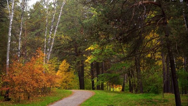 Ботанический сад СО РАН, Новосибирск смотреть онлайн