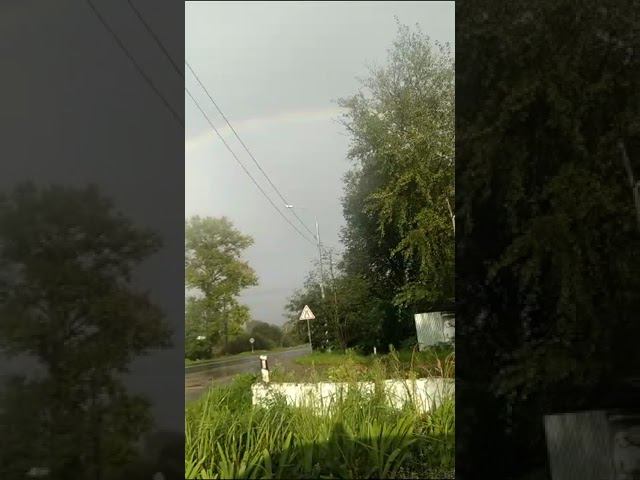 15 августа 2023 г. смотреть онлайн