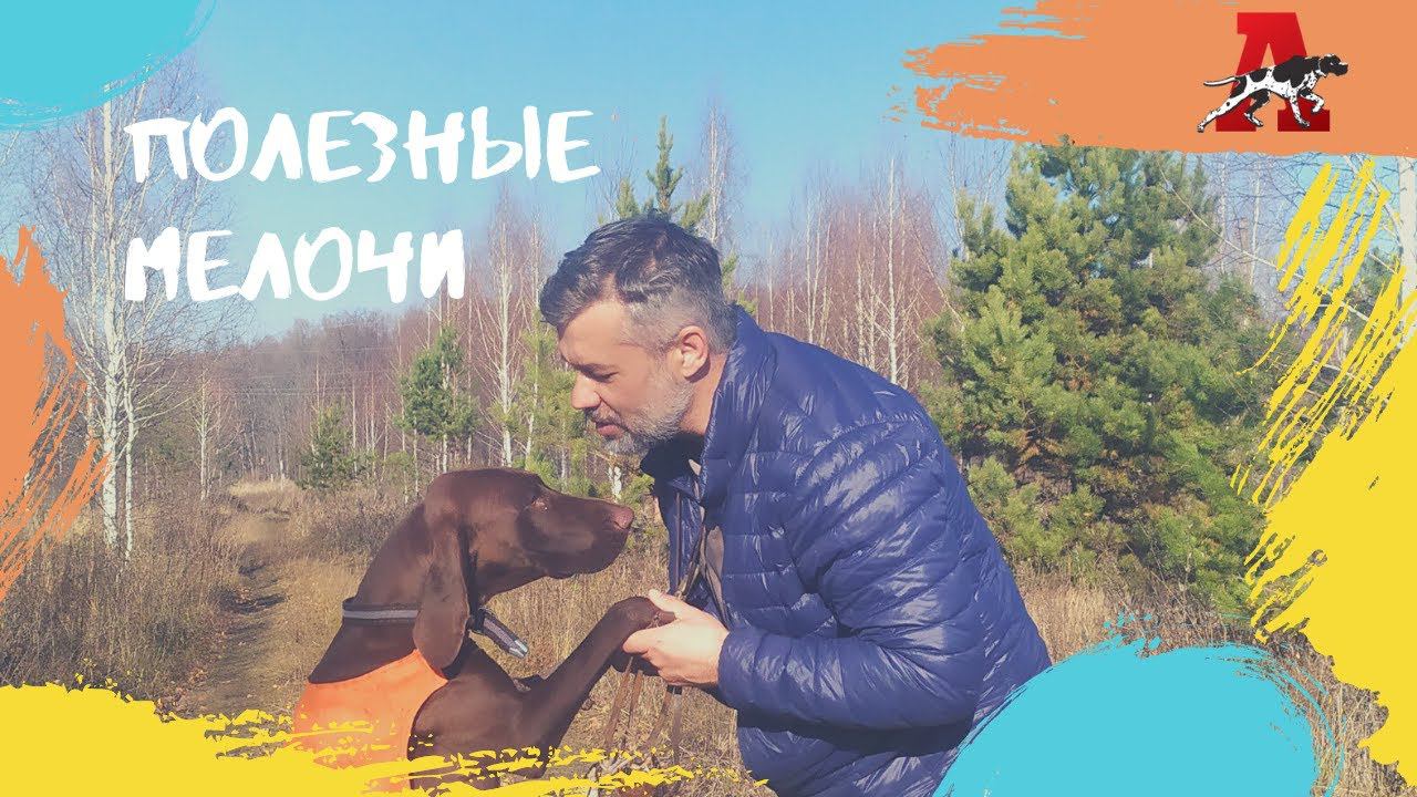 Небольшие советы по работе со щенком. смотреть онлайн