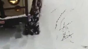 УАЗ - Тест резины - ФБЕЛ- 160-   ( по снегу ! )))