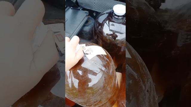 это тебе поможет когда нет воды на участке #воданадаче #скважина #колодец #водопровод