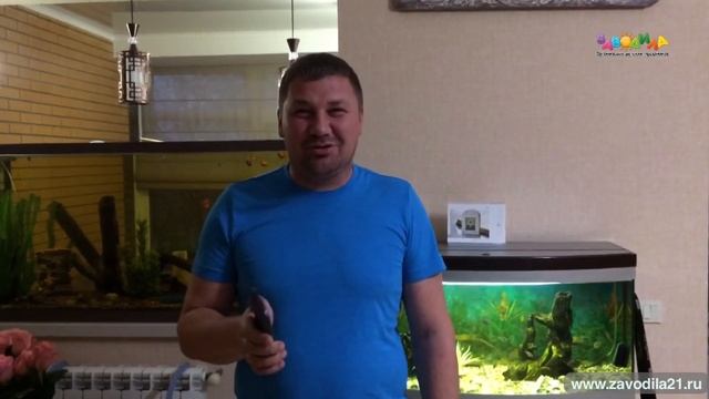 Отзыв о празднике с куклами Лол и фокусником от организации Заводила смотреть онлайн