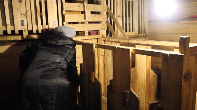 СОДЕРЖАНИЕ КОЗ. САМАЯ ЭКОНОМИЧНАЯ КОРМУШКА.
