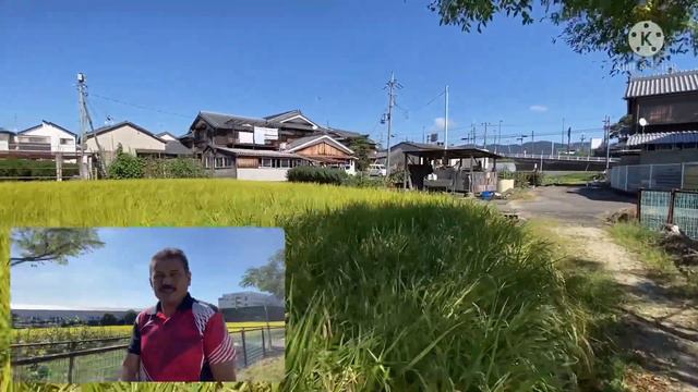 Вот так выглядит поля фермеров смотреть онлайн