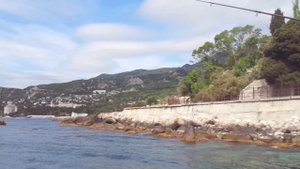 ?Какая рыба ловится в Чёрном море?
